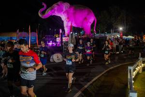 BIB: 
                            <button type="button" onclick="openModal(26552342)" class="btn btn-primary btn-sm float-right btn-popup" data-toggle="modal" data-target=".modal-high-quality">
                        <i class="fas fa-shopping-cart"></i> Add to Cart
                    </button>
                                            <button type="button" onclick="isThisMe(26552342, true)" class="btn btn-success btn-sm float-right btn-popup btn-isme hidden" data-toggle="tooltip" data-placement="bottom" title="นี่คือรูปของคุณใช่ไหม คลิกที่นี่เพื่อเอาเข้าอัลบั้ม">
                        <i class="fas fa-plus"></i> Add to album
                    </button>
                    <button type="button" onclick="isThisMe(26552342, false)" class="btn btn-warning btn-sm float-right btn-popup btn-isnotme hidden">
                        <i class="fas fa-ban"></i> Remove from album
                    </button>